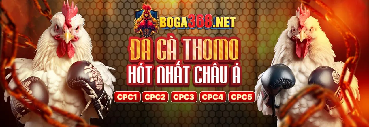 Đá Gà Trực Tuyến Hấp Dẫn tại F1689 Code